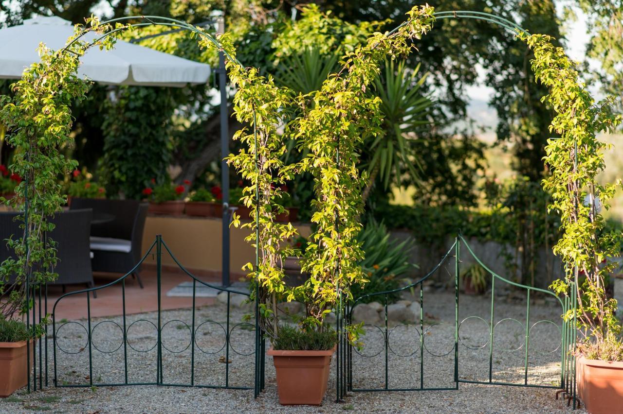 Il Leccio - Casa Toscana San Gimignano ガンバッシ・テルメ エクステリア 写真