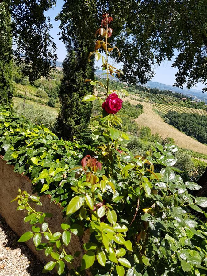 Il Leccio - Casa Toscana San Gimignano ガンバッシ・テルメ エクステリア 写真